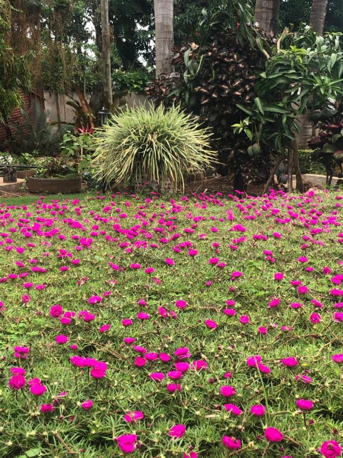 Mama Thea Homes Moshi Bagian luar foto